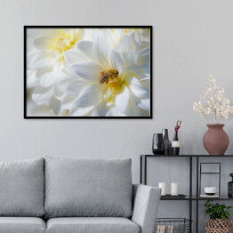 Plakat w ramie Kompozycja białych kwiatów