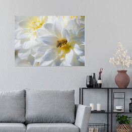 Plakat samoprzylepny Kompozycja białych kwiatów