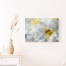 Obraz klasyczny Kompozycja białych kwiatów
