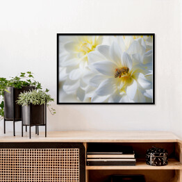 Plakat w ramie Kompozycja białych kwiatów