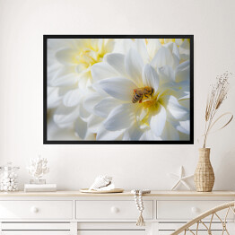 Obraz w ramie Kompozycja białych kwiatów