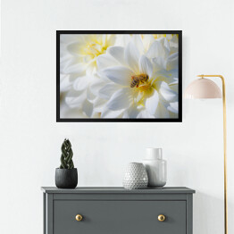 Obraz w ramie Kompozycja białych kwiatów