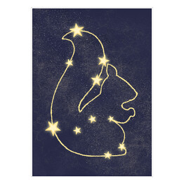 Plakat Grafika z wiewiórką, gwiazdy