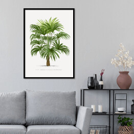 Plakat w ramie Drzewo palmowe w stylu vintage reprodukcja 