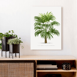 Obraz na płótnie Drzewo palmowe w stylu vintage reprodukcja 