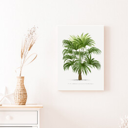 Obraz na płótnie Drzewo palmowe w stylu vintage reprodukcja 