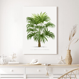 Obraz klasyczny Drzewo palmowe w stylu vintage reprodukcja 
