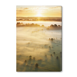 Obraz na płótnie Las we mgle o wschodzie słońca krajobraz
