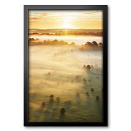 Obraz w ramie Las we mgle o wschodzie słońca krajobraz