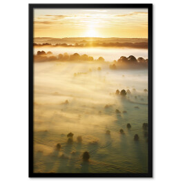 Plakat w ramie Las we mgle o wschodzie słońca krajobraz
