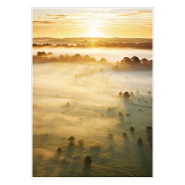 Plakat samoprzylepny Las we mgle o wschodzie słońca krajobraz