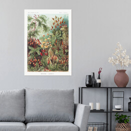 Plakat samoprzylepny Roślinność dżungli krajobraz w stylu vintage. Ernst Haeckel Reprodukcja obrazu