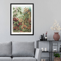 Obraz w ramie Roślinność dżungli krajobraz w stylu vintage. Ernst Haeckel Reprodukcja obrazu