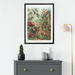 Obraz w ramie Roślinność dżungli krajobraz w stylu vintage. Ernst Haeckel Reprodukcja obrazu