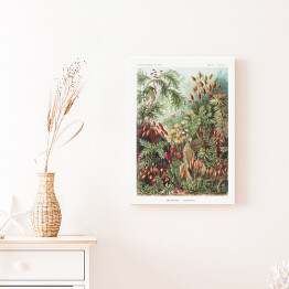 Obraz klasyczny Roślinność dżungli krajobraz w stylu vintage. Ernst Haeckel Reprodukcja obrazu