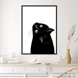 Plakat w ramie Czarny kot patrzący w górę
