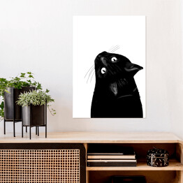 Plakat Czarny kot patrzący w górę