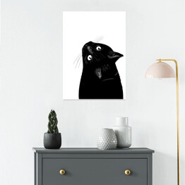 Plakat samoprzylepny Czarny kot patrzący w górę