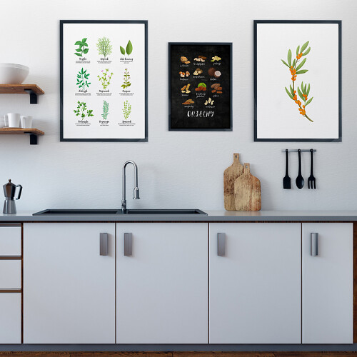 Galeria ścienna Zioła i orzechy - plakaty w ramie do kuchni - zestaw