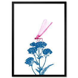 Obraz klasyczny Różowa ważka na niebieskiej roślinie