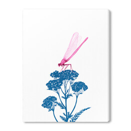  Różowa ważka na niebieskiej roślinie