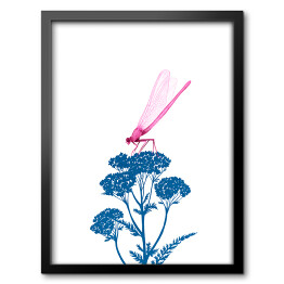Obraz w ramie Różowa ważka na niebieskiej roślinie