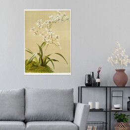 Plakat F. Sander Orchidea no 2. Reprodukcja