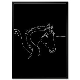 Plakat w ramie Koń - czarne konie