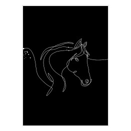 Plakat Koń - czarne konie