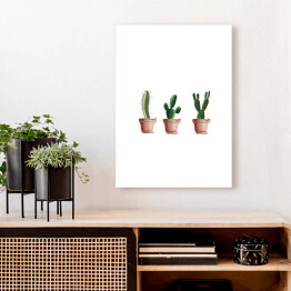 Obraz na płótnie Trzy kaktusy