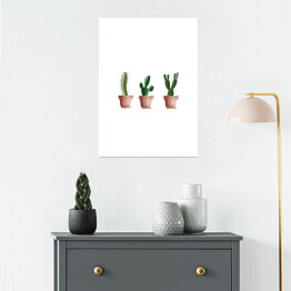 Plakat Trzy kaktusy