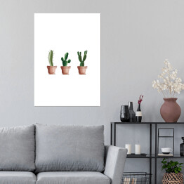 Plakat Trzy kaktusy