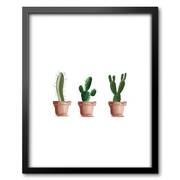 Obraz w ramie Trzy kaktusy
