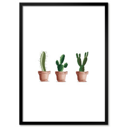 Plakat w ramie Trzy kaktusy