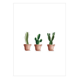 Trzy kaktusy