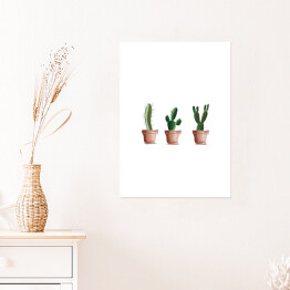 Trzy kaktusy