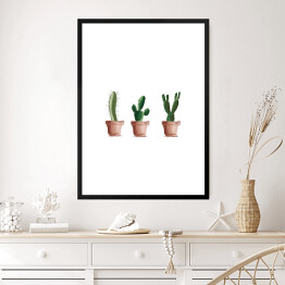 Obraz w ramie Trzy kaktusy