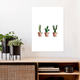 Plakat samoprzylepny Trzy kaktusy