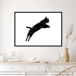 Plakat w ramie Czarny kot podczas skoku