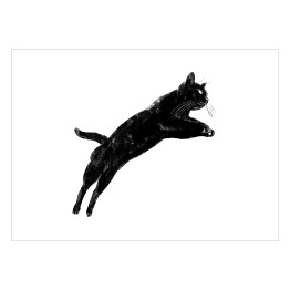 Plakat samoprzylepny Czarny kot podczas skoku