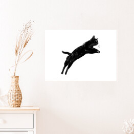 Plakat samoprzylepny Czarny kot podczas skoku