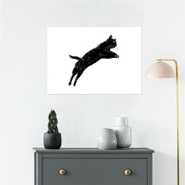 Plakat Czarny kot podczas skoku