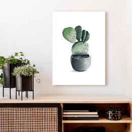 Rozłożysty kaktus