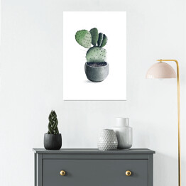 Plakat Rozłożysty kaktus