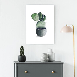 Obraz klasyczny Rozłożysty kaktus