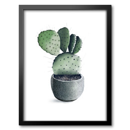 Obraz w ramie Rozłożysty kaktus