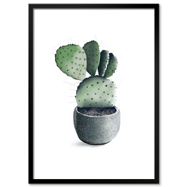 Plakat w ramie Rozłożysty kaktus