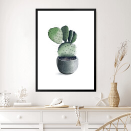 Obraz w ramie Rozłożysty kaktus