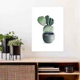 Plakat Rozłożysty kaktus