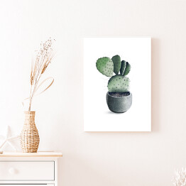 Obraz na płótnie Rozłożysty kaktus